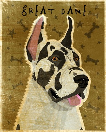 Framed Harlequin Great Dane 1 Print