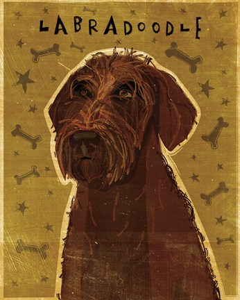 Framed Chocolate Labradoodle Print