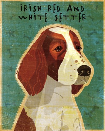 Framed Irish Red and White Setter Print