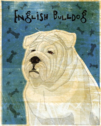 Framed English Bulldog Print