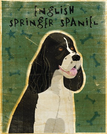 Framed English Springer Spaniel (black and white) Print