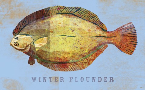 Framed Winter Flounder Print