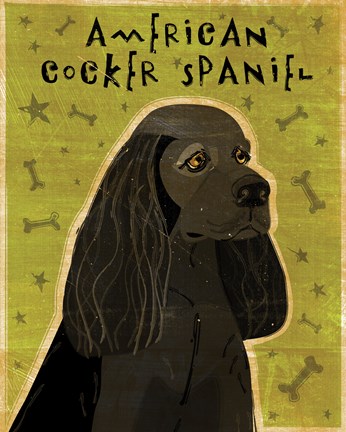 Framed American Cocker Spaniel (black) Print