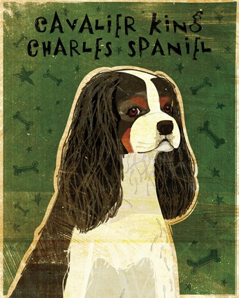 Framed Cavalier King Charles (tri-color) Print