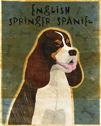 Framed English Springer Spaniel (tri-color) Print