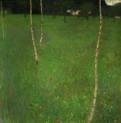 Framed Farmhouse With Birch Trees, 1900 Print