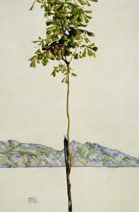 Framed Horse Chestnut Tree, Lake Constance. 1912 Print