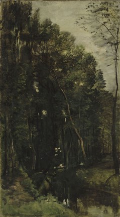 Framed Forest And Brook Print