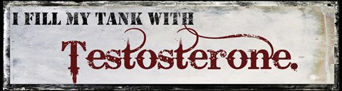 Framed Testosterone Print