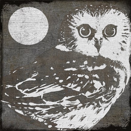 Framed Owl 3 Print