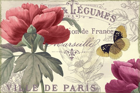 Framed Petals of Paris V Print