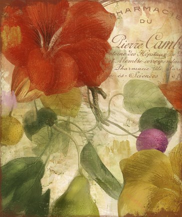 Framed November Print