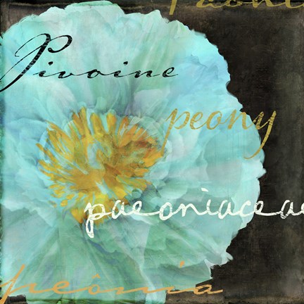 Framed Blue Peony Dark Print