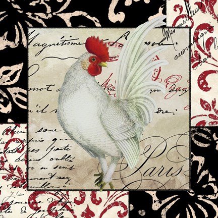 Framed Europa White Rooster Print