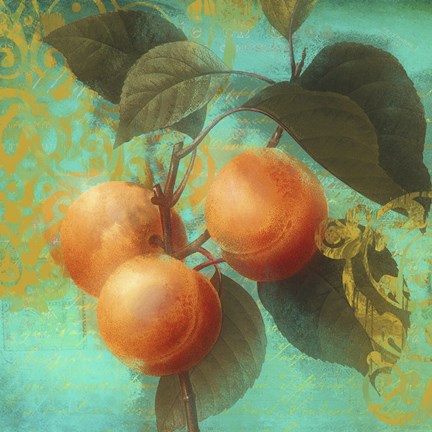 Framed Glowing Fruits II Print