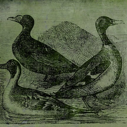 Framed Mallards Print