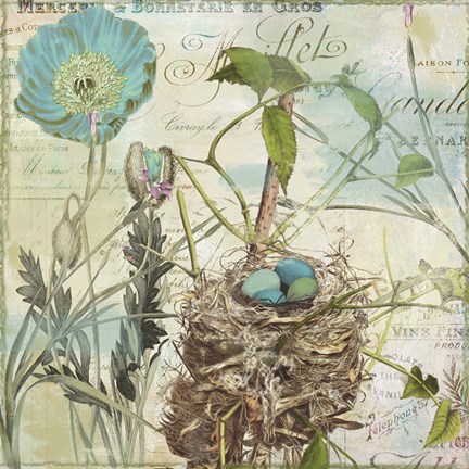 Framed Nesting I Print