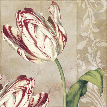 Framed Peppermint Tulips I Print