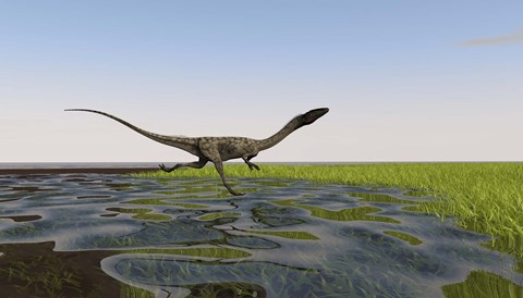 Framed Coelophysis Running Print