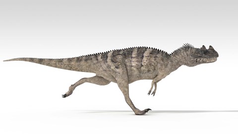 Framed Ceratosaurus Dinosaur Print