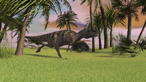 Framed Ceratosaurus Running Across a Field Print