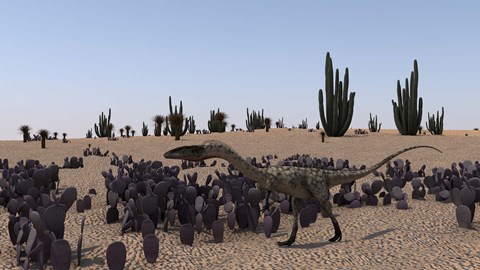 Framed Coelophysis Print