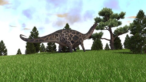 Framed Dicraeosaurus Print