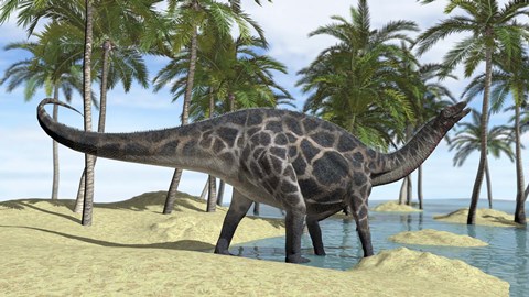 Framed Dicraeosaurus in Shallow Water Print