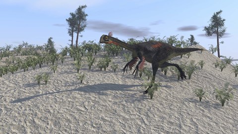 Framed Gigantoraptor Print