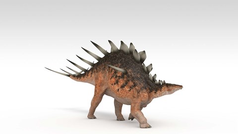 Framed Kentrosaurus Dinosaur Print