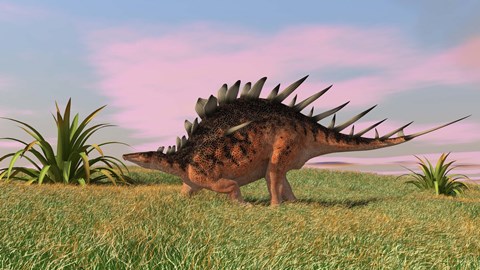 Framed Kentrosaurus Walking across Grasslands Print