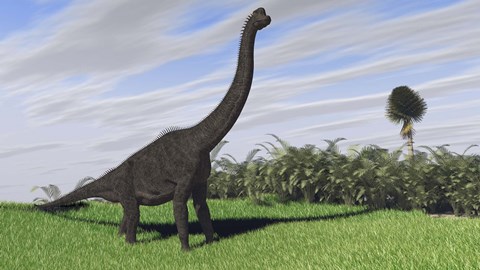 Framed Large Brachiosaurus in a Field Print