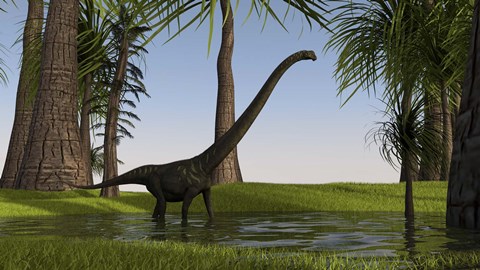 Framed Mamenchisaurus Walking through Swamp Print