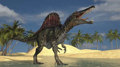 Framed Spinosaurus Hunting for its Next Meal Print