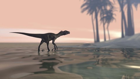 Framed Utahraptor in Shallow Water Print