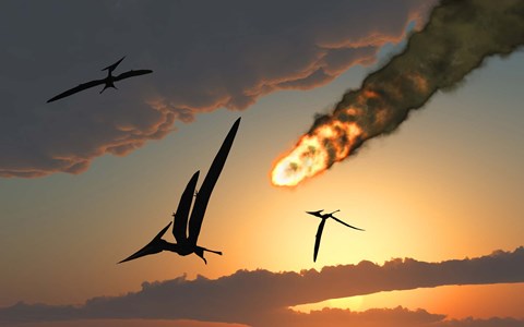 Framed Pteranodons in Flight Print