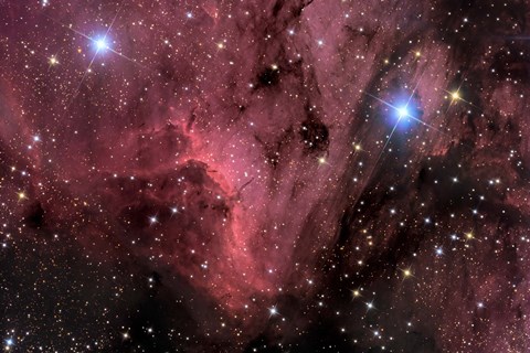 Framed Pelican Nebula Print