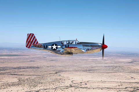 Framed TP-51C Mustang Print