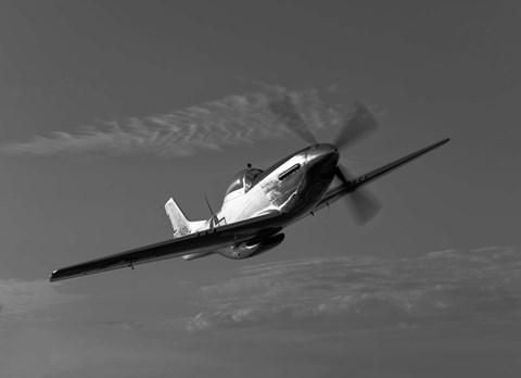 Framed P-51D Mustang 1 Print