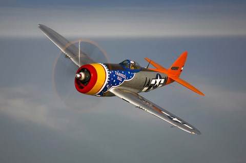 Framed Republic P-47D Thunderbolt Print
