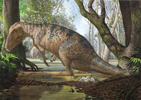 Framed Edmarka Rex Print