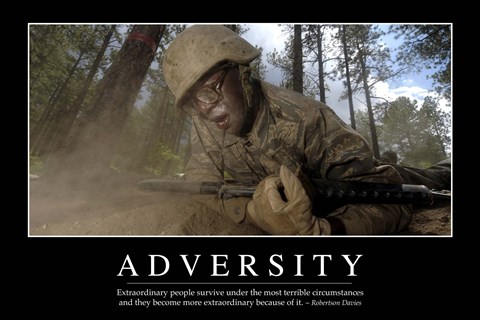 Framed Adversity: Inspirational Quote and Motivational Poster Print