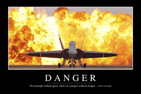 Framed Danger: Inspirational Quote and Motivational Poster Print
