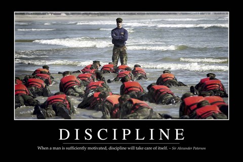 Framed Discipline: Inspirational Quote and Motivational Poster Print