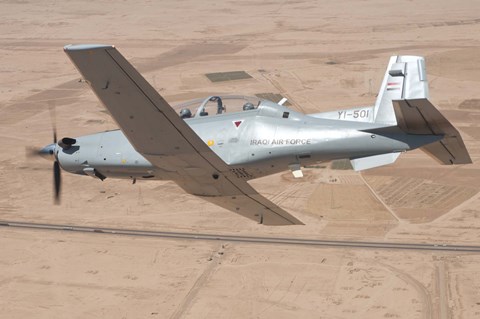 Framed T-6 Texan Print