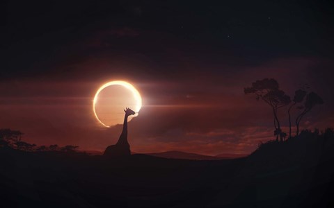 Framed Solar Eclipse over Africa Print
