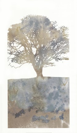 Framed Water Tree II Print
