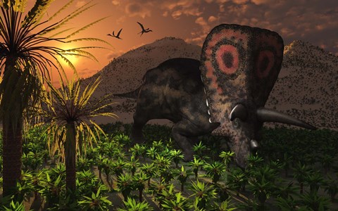 Framed Lone Torosaurus Dinosaur Print