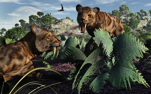 Framed Sabre-Toothed Tigers in Pleistocene Time Print