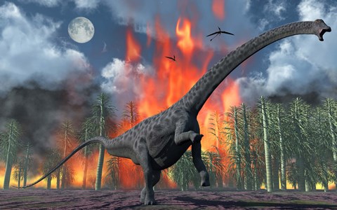 Framed Diplodocus Sauropod Dinosaur Print